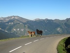 irgendwo in den Pyrenäen 2016