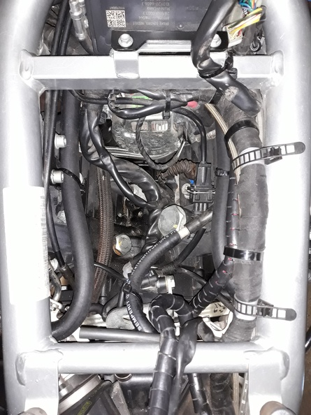 20190308_191612 modified.jpg