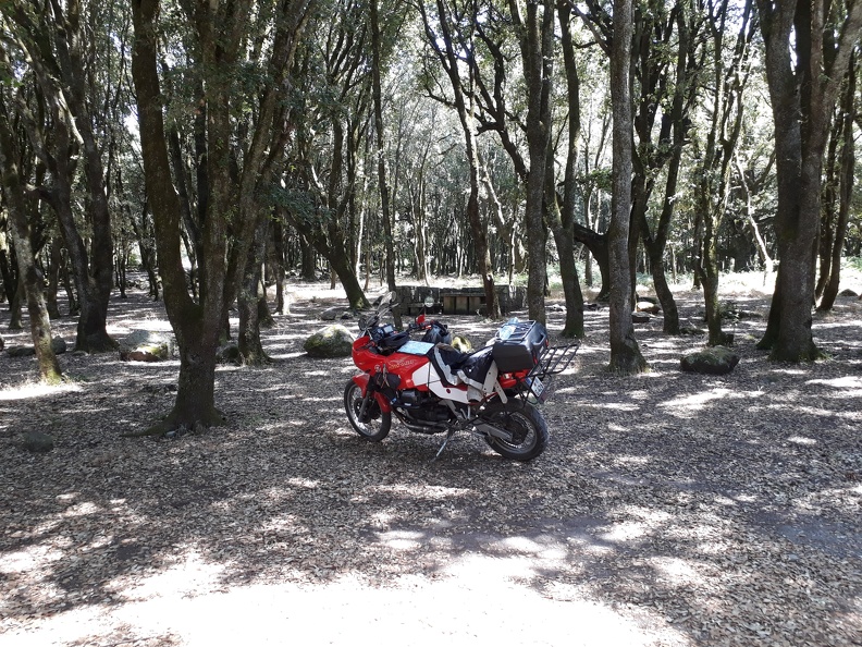 sardinien 2018 233.jpg