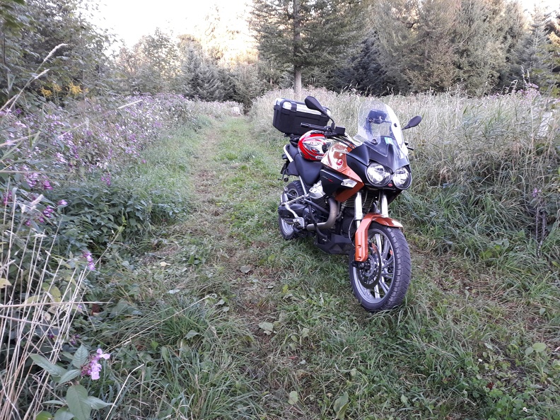 20190919_184113.jpg